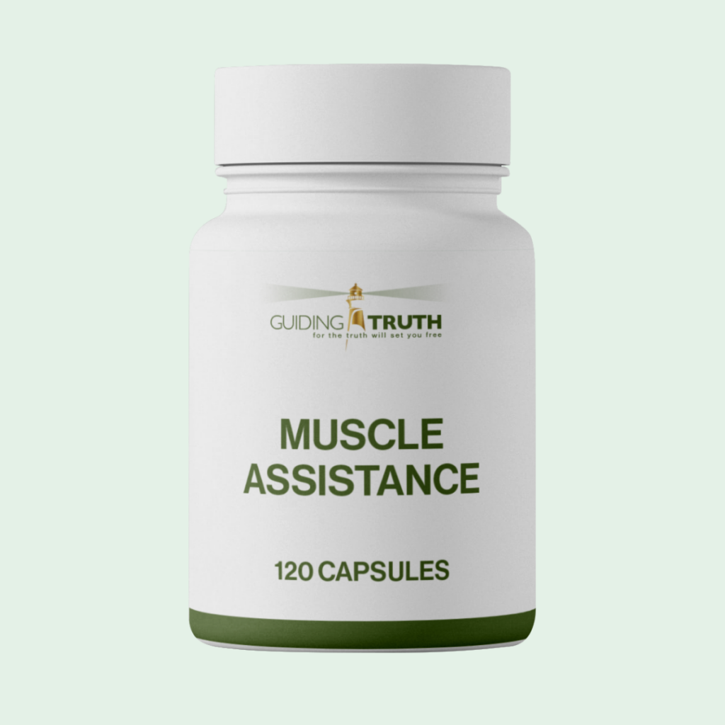 muscle assistance
