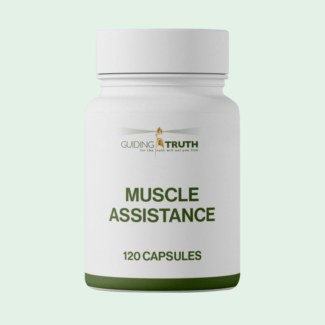 Muscle Assistance